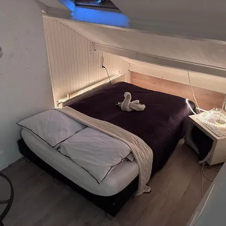 Auberge de jeunesse Czaar Peter Zaandam